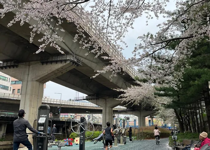 ホステル Bueno Day - Between Hongdae & Palace Gyeongbokgung 외국인도시민박업 한국인예약금지